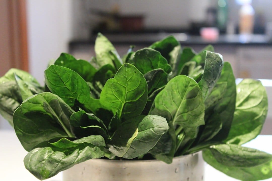 Spinach in Mouse Eyes? The Dry Eye Science Is Real